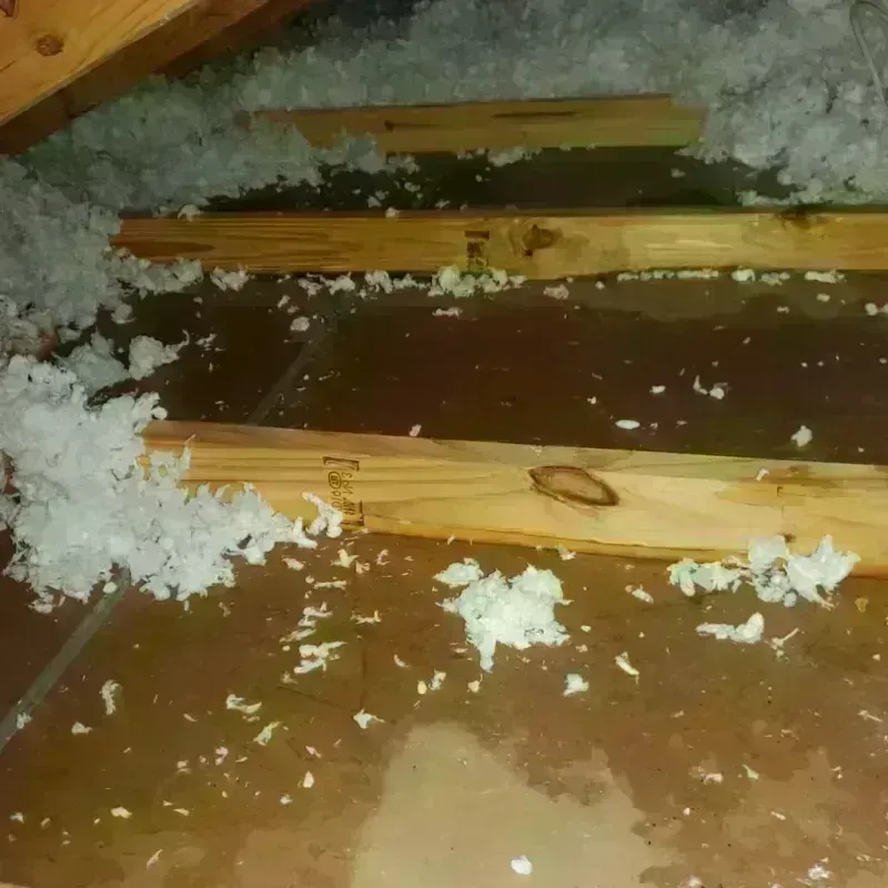 Attic Water Damage in Atascocita, TX