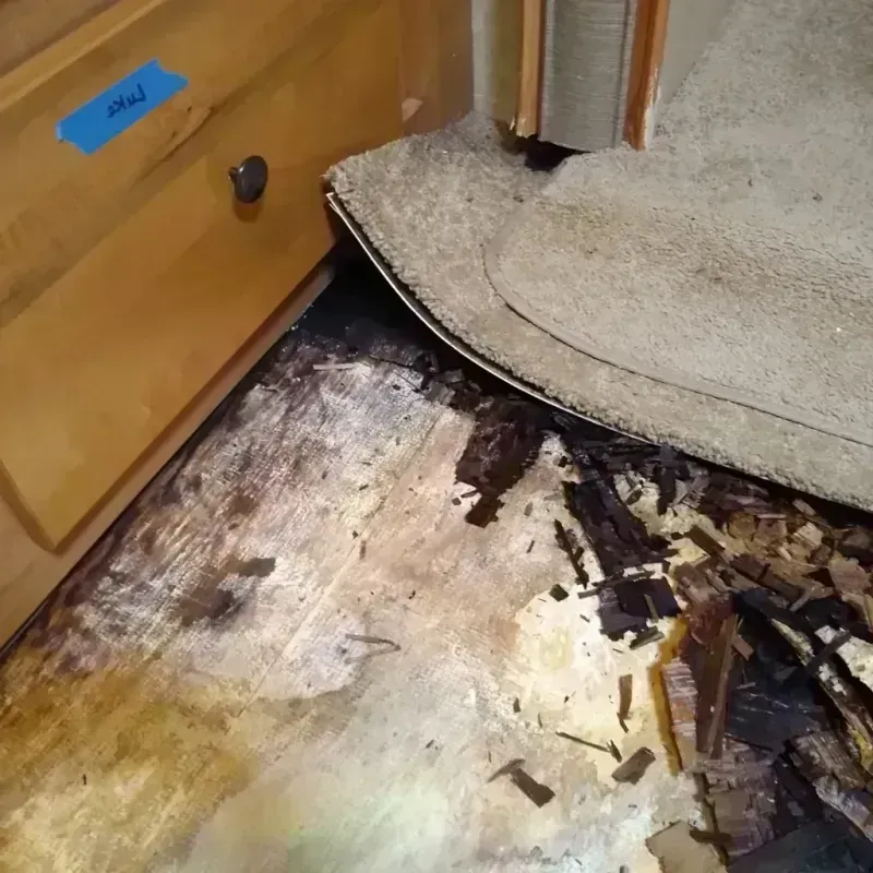 Wood Floor Water Damage in Atascocita, TX